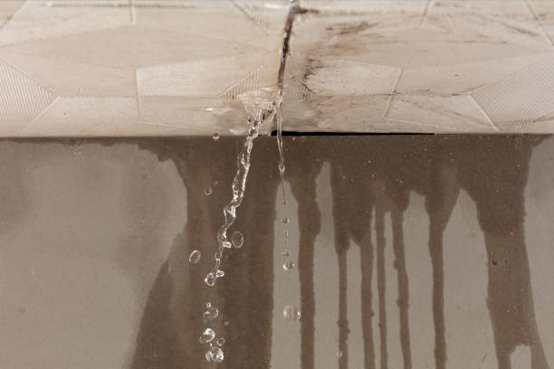 Professional Structural Drying technician working in Newton, TX